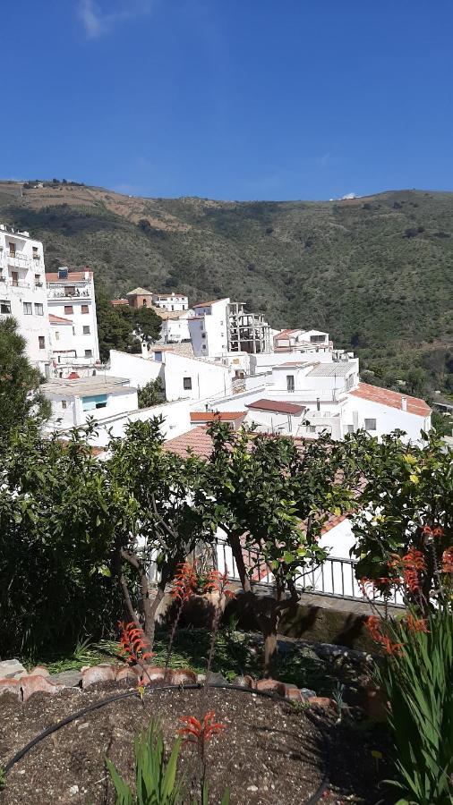 Villa Monte Polopos ภายนอก รูปภาพ